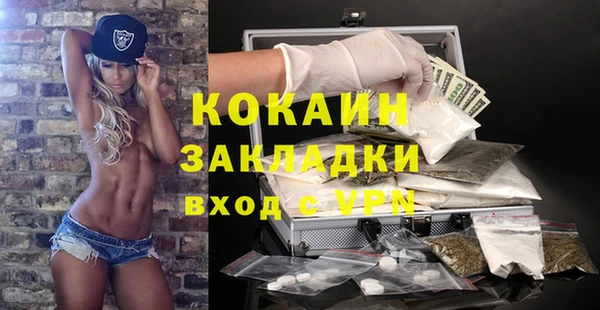 крисы Осинники
