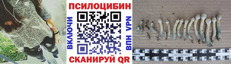 даркнет сайт  omg онион  Галлюциногенные грибы GOLDEN TEACHER  Костерёво 